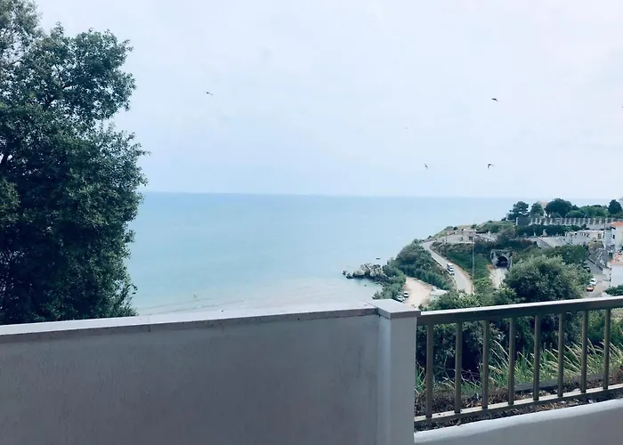 Le 5 로디가르가니코