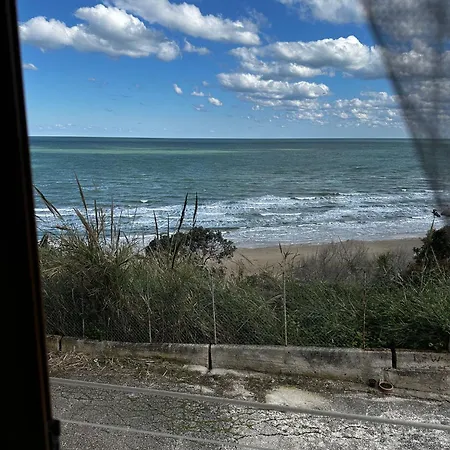 Le 5